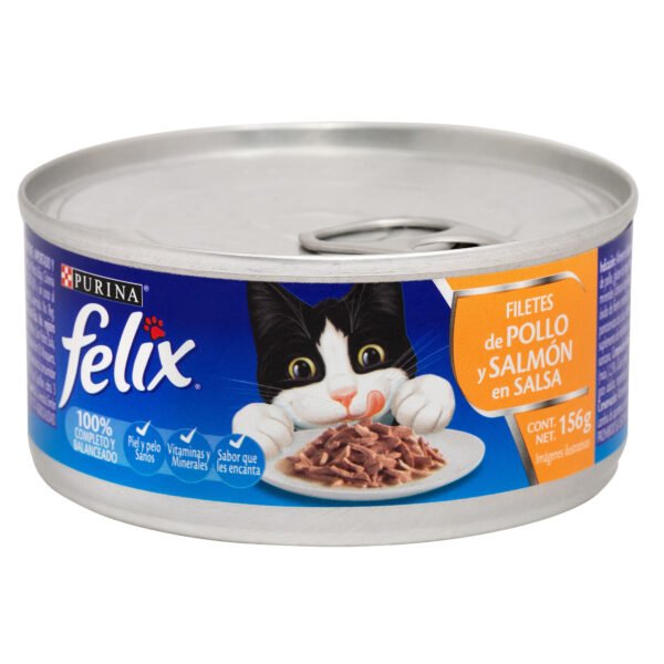 FELIX LATA X 156 GR SURTIDO