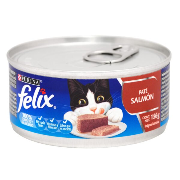 FELIX LATA X 156 GR SURTIDO