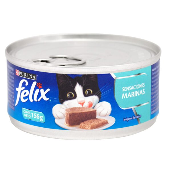 FELIX LATA X 156 GR SURTIDO